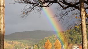 晩秋の空の虹